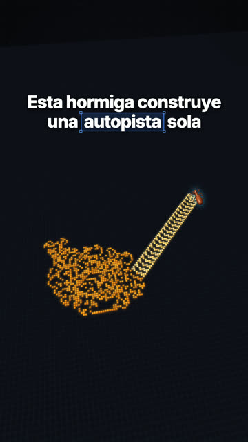 Portada del reel de la hormiga: Esta hormiga construye una autopista sola